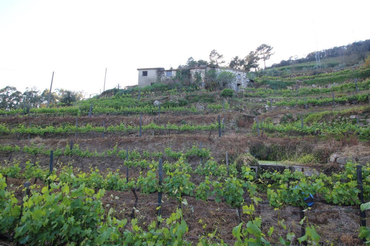 Casas Do Campo Da Moita Villa Baião Eksteriør bilde
